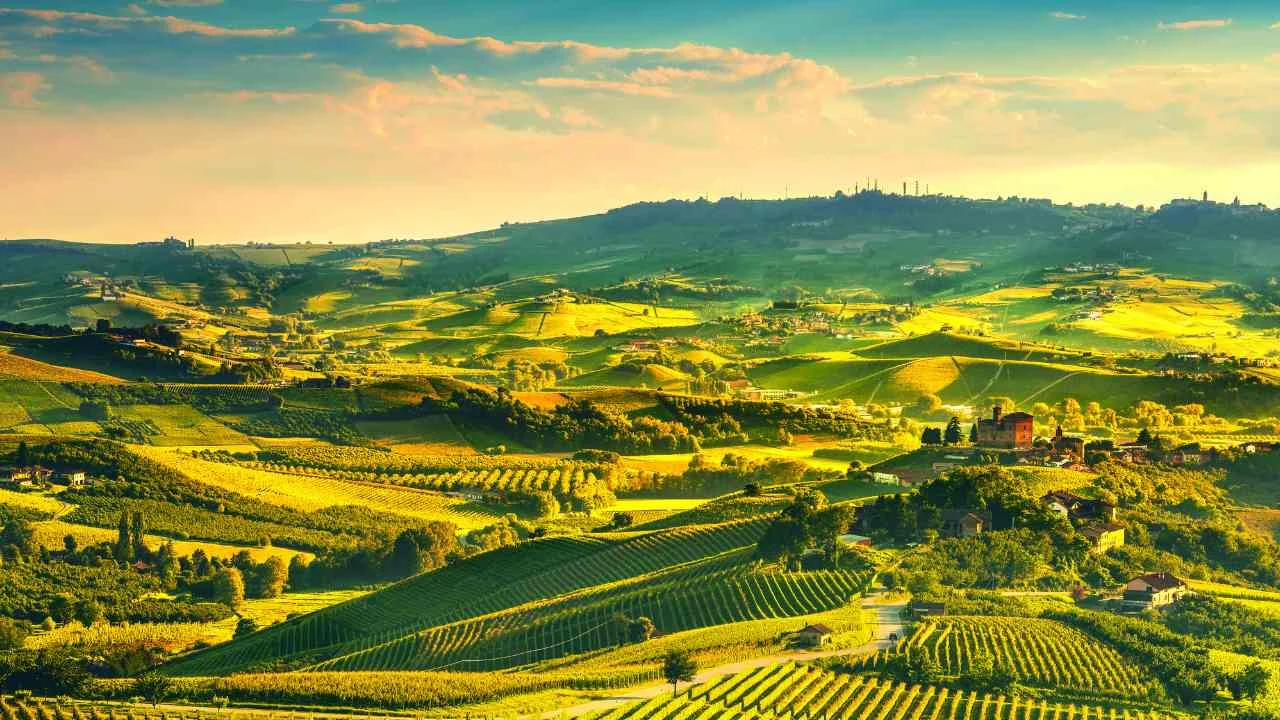 An Insider’s Guide to the Ultimate Piedmont Food and Wine Experience